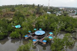 Bupati: Desa wisata Maluku Tenggara go digital