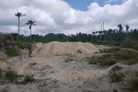 DLH Malra: Penambangan pasir pantai ancam lingkungan