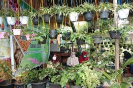 Kaltara bertekad wujudkan industrialisasi pangan lokal