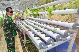 Satgas Citarum Harum Bandung tingkatkan ketahanan pangan