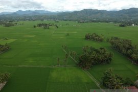 Wakil Ketua DPRD Gorontalo apresiasi pendampingan tani Pupuk Kaltim