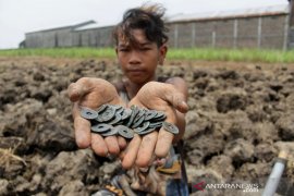 Warga di Jombang berburu uang koin kuno