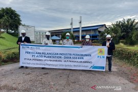 Program BESTARI-Riau2020 cara PLN Pekanbaru bantu pelaku usaha sektor pertanian