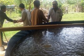 Mukomuko dorong pembentukan lembaga perikanan budidaya