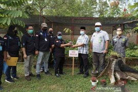 Dishut Kaltim bagikan ribuan bibit pohon untuk warga