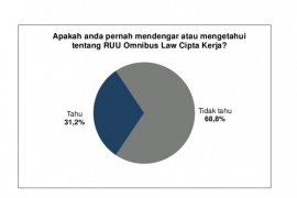 Survei: Hanya 31,2 persen publik  tahu "Omnibus Law" UU Ciptaker