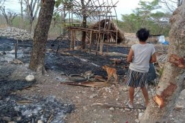 Kasus Besipae dinilai sebagai ketidakmampuan Pemprov NTT selesaikan konflik