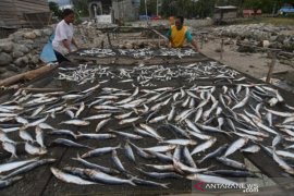 Fenomena La Nina ancam usaha ikan kering Page 1 Small