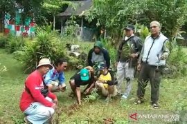 Perkumpulan Hijau Daun rayakan HUT dengan tanam pohon