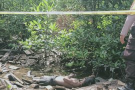 Geger, warga temukan mayat di hutan bakau Desa Banglas Barat