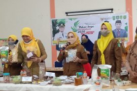 Dinas Ketahanan Pangan Bengkalis pamerkan 10 olahan dalam Pekan Sagu Nasional