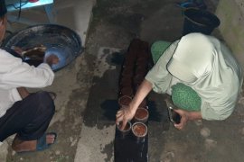 Wujudkan modernisasi produk gula aren Tamiang di tengah COVID-19