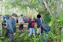 Depresi ditolak rujuk, Suwandi gantung diri di kebun karet