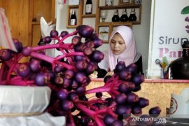 Pemkab Jepara, Jateng kembangkan buah parijotho