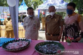 Pemkab Tapin akan awasi potensi alih fungsi lahan tanaman Rumbia