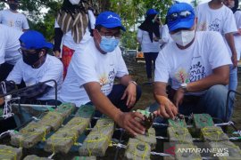 Lindungi Ekosistem Laut, Pertamina Tanam Terumbu Karang Carita