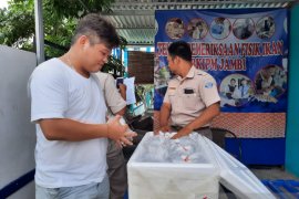 BKIPM Jambi sebut pengirimanan ikan hias meningkat