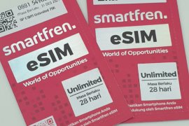 Panduan Menggunakan eSIM untuk Perjalanan Luar Negeri, Ini Langkah yang Perlu Diperhatikan