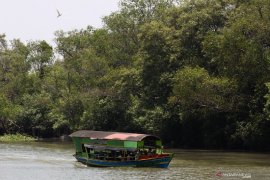 Ekowisata Mangrove Wonorejo