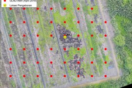 BRG gunakan data indikasi pembukaan gambut untuk peringatan dini