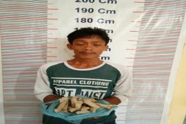 Polsek Bahorok Langkat tangkap pemilik 26 paket ganja siap edar