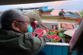 Haris Ilham janji bakal tata kembali Pasar Terapung Kuin