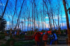 Pemuda Desa Lolu Sigi Sulteng ubah bekas likuefaksi jadi objek wisata baru