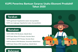 11 Kelompok Usaha Perhutanan Sosial segera terima bantuan