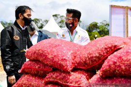 Mentan sebut "food estate" Humbahas jadi contoh korporasi hortikultura
