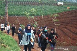 Mahasiswa Bandung tanam pohon cegah banjir