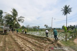 BI Gorontalo jadikan kelompok Hasrat pilot project pertanian digital