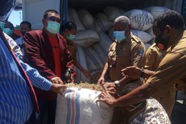 Kerajaan Inggris mendukung Papua-Papua Barat kembangkan ekonomi hijau