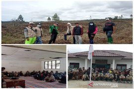 Polbangtan Medan pro aktif percepatan tanam program "food estate" di Humbahas