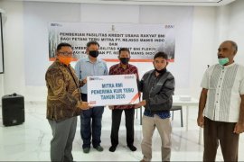 BNI kucurkan KUR Rp6 miliar bagi petani tebu di Blitar