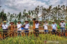 Mewujudkan lahirnya inovasi baru lewat penelitian melalui P4M