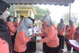 PKK Tanah Laut minta kader berperan bantu pencegahan stunting