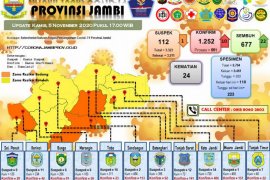 Pasien sembuh dari COVID-19 bertambah 22, positif 10 orang