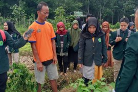 Raup keuntungan dari kacang edamame