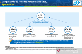 BPS : 531 ribu orang pekerja di Sumbar terdampak imbas COVID-19