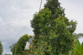 Distan Parimo mengusulkan bantuan alat perontok cengkeh bagi petani