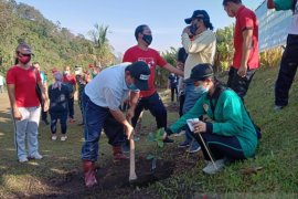Pemkab-Kodim Buleleng tanam 700 pohon untuk hutan desa