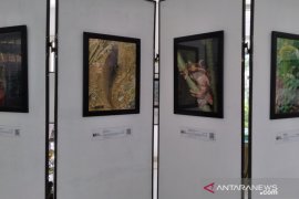 TN Gunung Halimun Salak pamerkan 50 karya foto puspa dan satwa langka