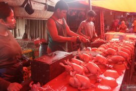 Harga ayam di Agam meroket, naik Rp15 ribu per ekor