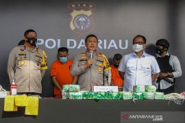Narkoba di Bali disinyalir kebanyakan dari Riau