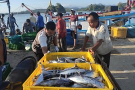 Permintaan ikan besar meningkat, hasil tangkapan nelayan Aceh Jaya menurun