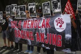 Kementan ingatkan masyarakat bahaya mengonsumsi daging anjing