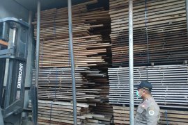 Karantina Pertanian Tarakan Awasi "Heat Treatment" Untuk Kemasan Kayu