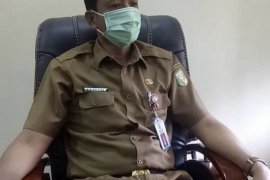 Petani Kuansing akan terima bibit sawit unggul