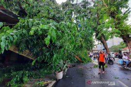 BMKG: Jawa Tengah bagian selatan sudah masuki masa pancaroba