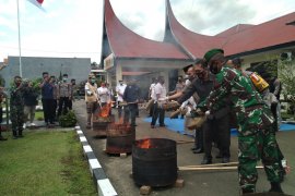 Ganja tangkapan terbesar di Sumbar sebanyak 134 kilogram dimusnahkan Polres Limapuluh Kota